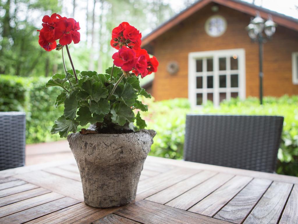 Villa Luxurious Chalet In Oud Turnhout With Large Garden à Oud-Turnhout Extérieur photo